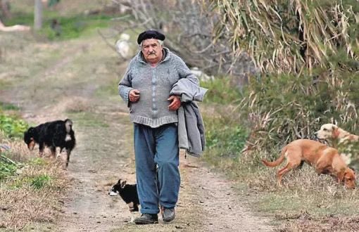 turkan_elci's tweet photo. Bazen hayatta José Mujica gibi bir devlet başkanı da gelip geçer, 
Dünyanın en fakir devlet başkanı olarak anılan, 
Montevideo’nun eteklerinde krizantem yetiştirip başkanlık sarayında yaşamayı reddeden, 
“ Döngüm sona erdi, samimi olarak ölüyorum. Ve bir savaşçının dinlenmeye hakkı vardır” diyen
Bir sekoya ağacının altında köpeğinin yanına gömülmek isteyen biri.