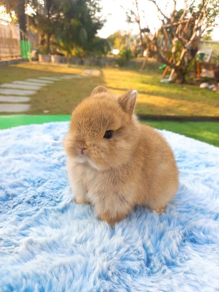 My 😍  needs a name 🙃 I am completely stumped as I feel like nothing fits him.