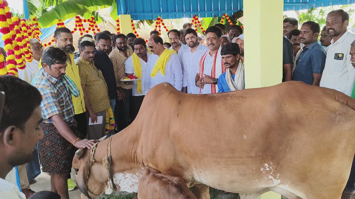 DharmarajuPdr's tweet photo. శనివారం ఉంగుటూరు మండలం గొల్లగూడెం గ్రామంలో నిర్మించిన మినిగోకులం షెడ్(పశువుల శాల)ను ఏలూరు MP పుట్టా మహేష్ కుమార్, జిల్లా టీడీపీ అధ్యక్షులు శ్రీ గన్ని వీరాంజనేయులు గార్లతో కలిసి ప్రారంభించటం జరిగింది.

#శ్రీ_పత్సమట్ల_ధర్మరాజు #mlaunguturu 
#minigokulam #NDAGovt 
@JanaSenaParty @JaiTDP