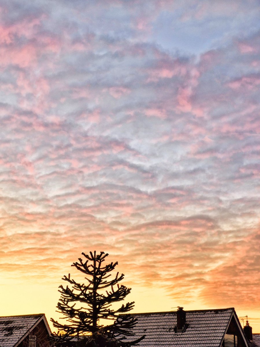 Morning Glow on a crisp Winters morn ❄️