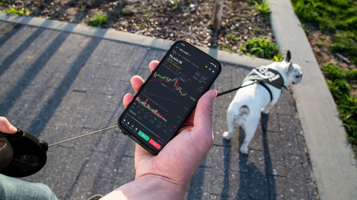 binance's tweet image. This dog thinks I’m taking him for a walk.