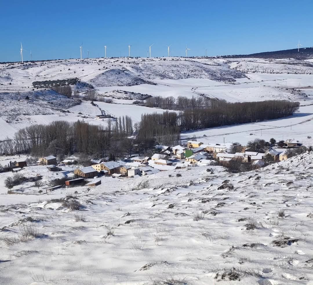 EFEverde's tweet photo. Medinaceli acoge a las 12:00 una manifestación contra un parque fotovoltaico de 87 hectáreas que "amenaza la biodiversidad y el desarrollo sostenible" en la ribera del Jalón https://t.co/VEoF3oLMXD #Benamira https://t.co/rwLl8ZMqpB