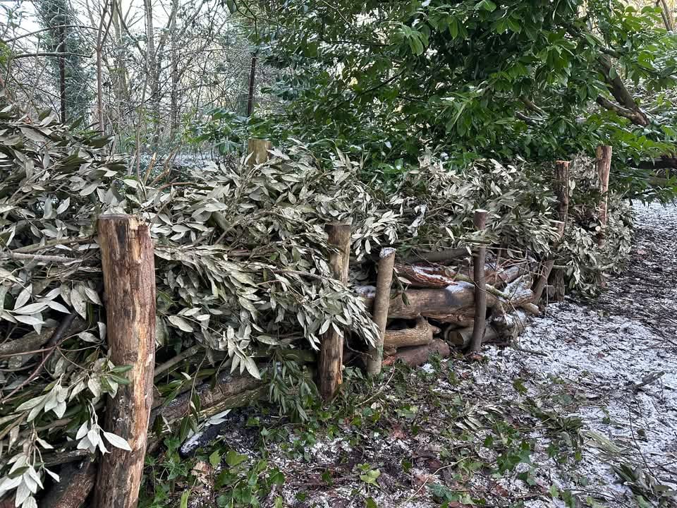 Fylde Council Sport & Health Development tweet media