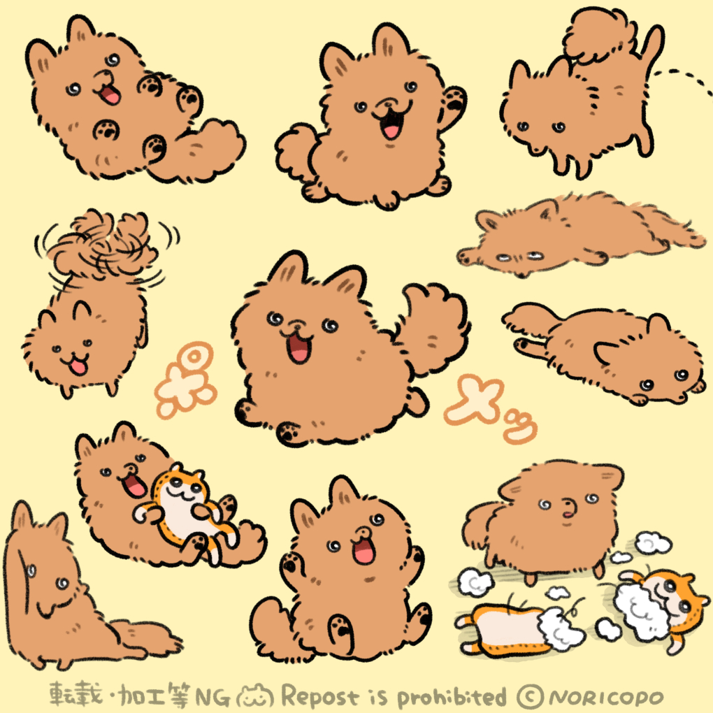 犬LOVE🐾 #犬の日 