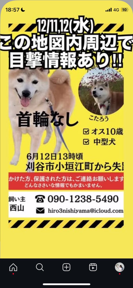 cotaroo77's tweet photo. ⚠️🚨6/12から愛知県刈谷市周辺で、
11歳の愛犬こたろうを探しています🐕😢🚨⚠️
12月に新たに目撃情報ありました！
が、保護までには至らず…

すごく人懐こいです！
見かけましたら、保護をお願いします！
その後、09012385490（飼い主）に電話を！または刈谷警察か愛知県保護センターへご連絡を！ https://t.co/lEwofMDUMy
