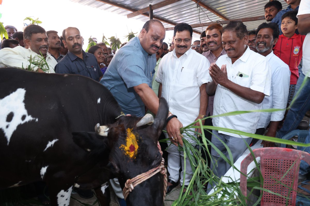 katchannaidu's tweet photo. పాడి పరిశ్రమ అభివృద్ధికి ప్రత్యేక చర్యలు తీసుకుంటున్నాము. పాడి సంపద అభివృద్ధికి, పశు పోషకుల సంక్షేమానికి సమగ్ర ప్రణాళిక సిద్ధం చేస్తున్నాము. శ్రీకాకుళం జిల్లా రేగులపాడులో మినీ గోకులం గోశాల ప్రారంభించాము..
#minigokulam
#milkproduction
#AndhraPradesh
#atchannaidu https://t.co/0Vx8FnwzS3