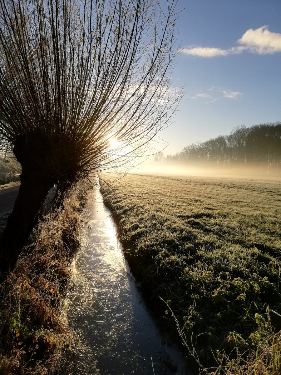 Good morning, no running but walking because too icy, cold but the sun was warm already!  Stay safe and warm. Enjoy the weekend #WINTER #SaturdayVibes #saturdaymorning #winter