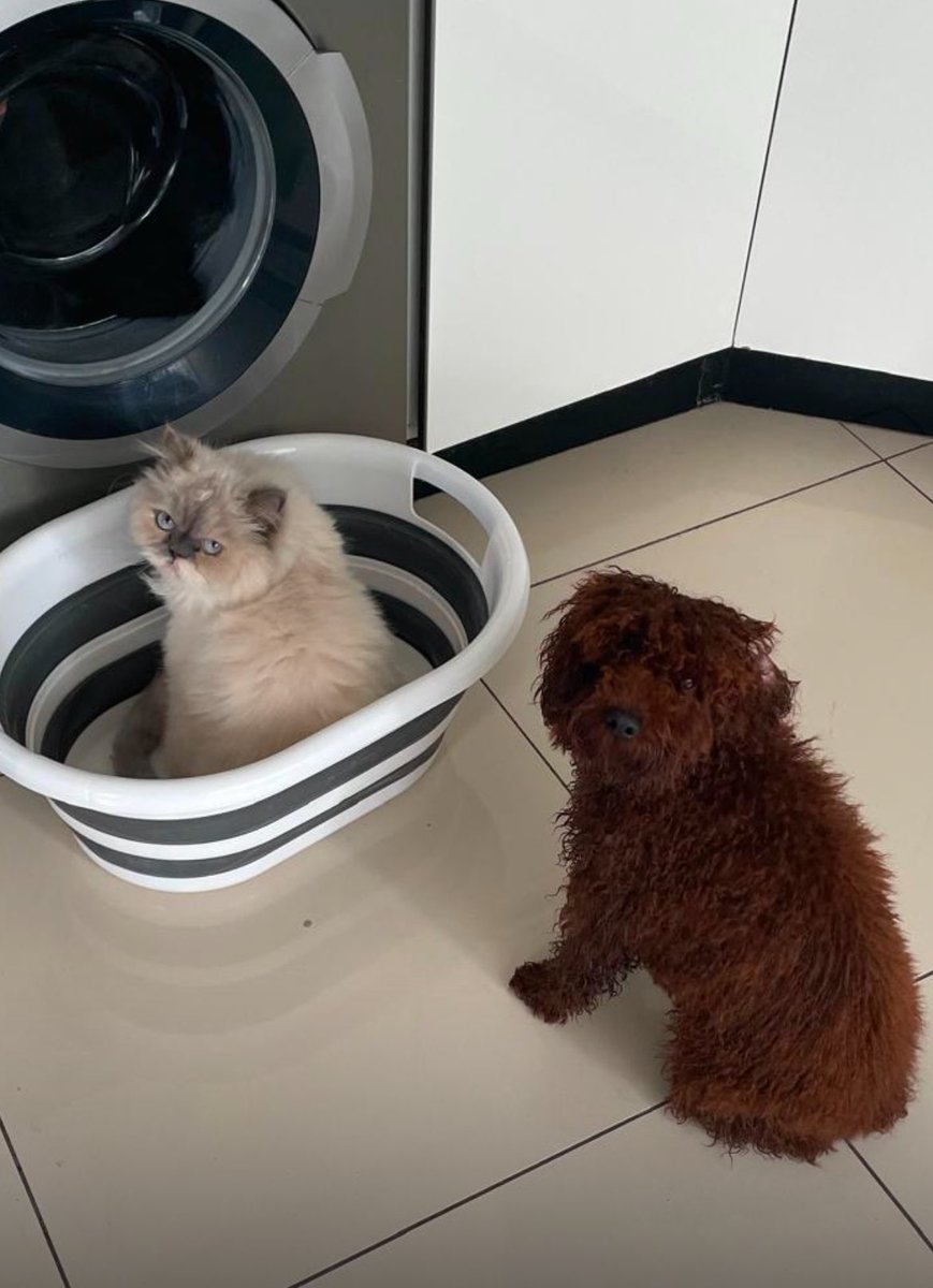 Çamaşır makmesini sevrrdevkem ravatsıs itme samank