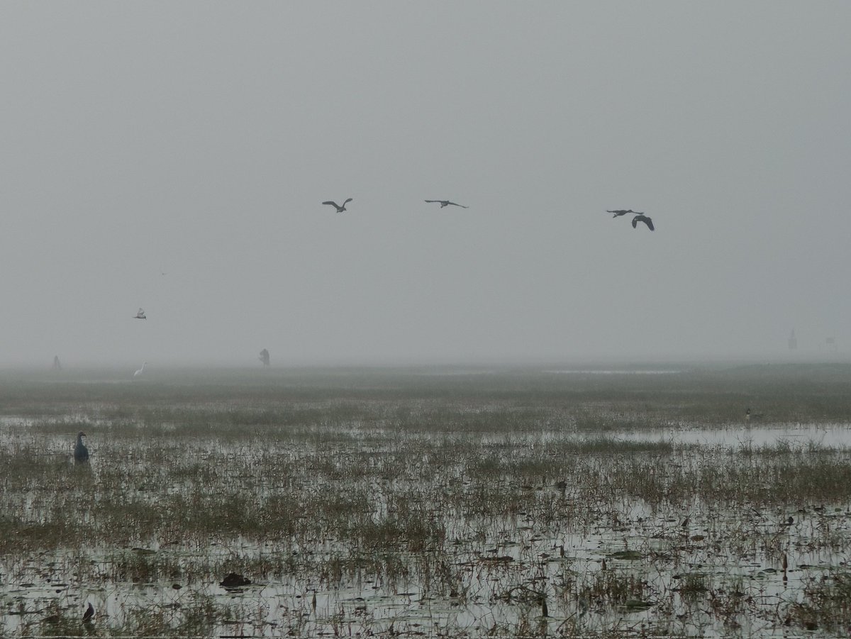 Durga Prasad Gouda tweet media