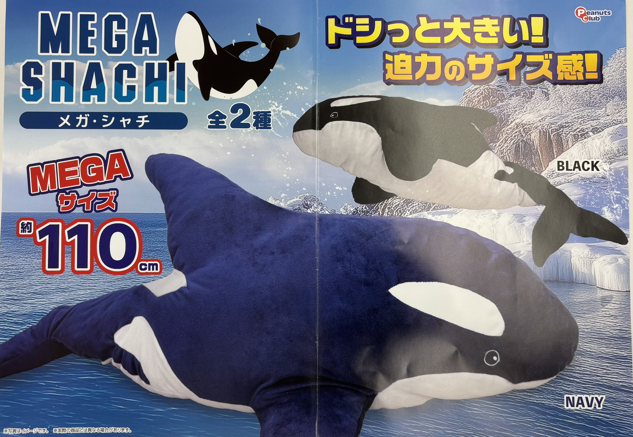 シャチ ぬいぐるみ 水族館 グッズ ISHIWATA シャチくん Lサイズ