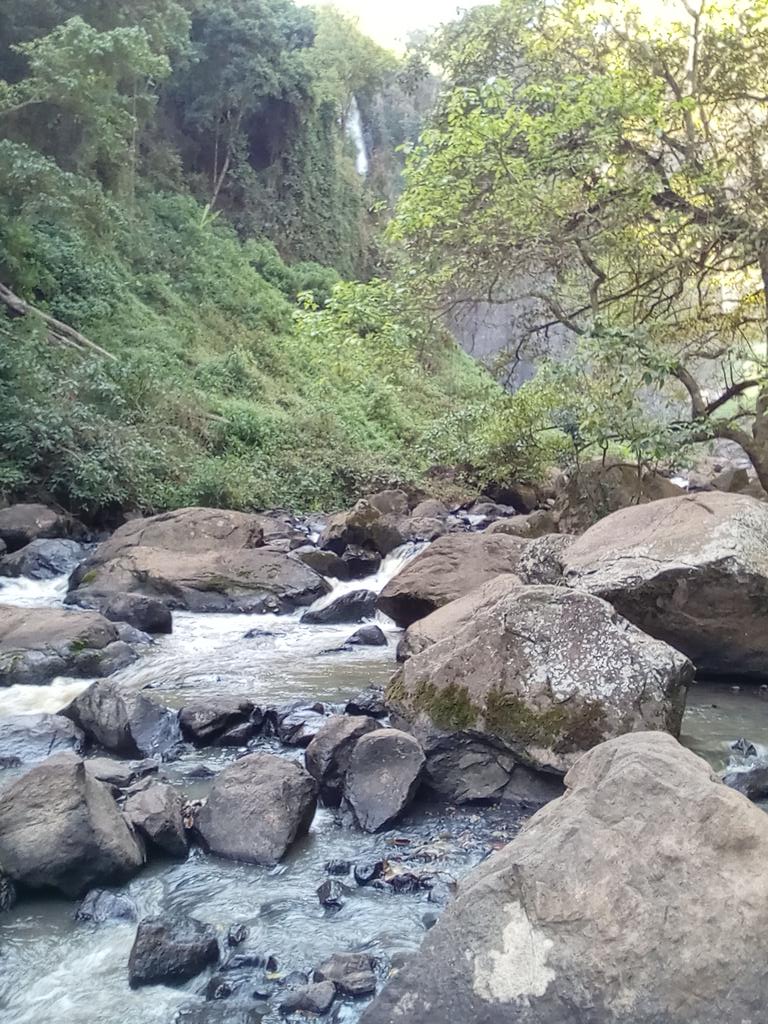 shahnjeri's tweet photo. https://t.co/5c34hbB0lW