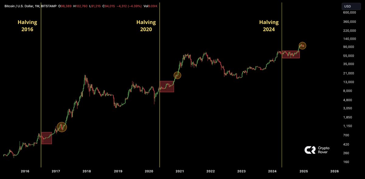 Crypto Rover tweet media