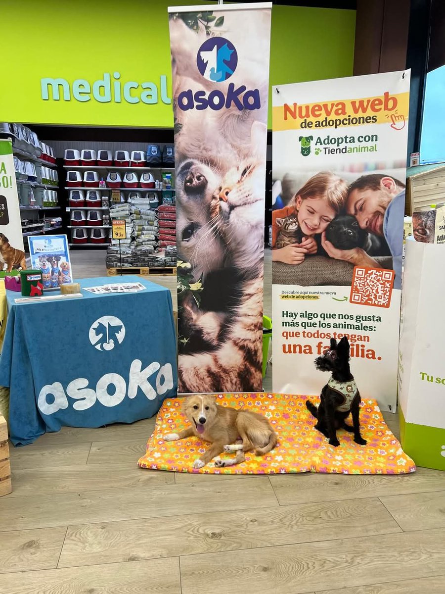 Ya estamos en Tiendanimal Rabasa. Os esperamos durante todo el día.