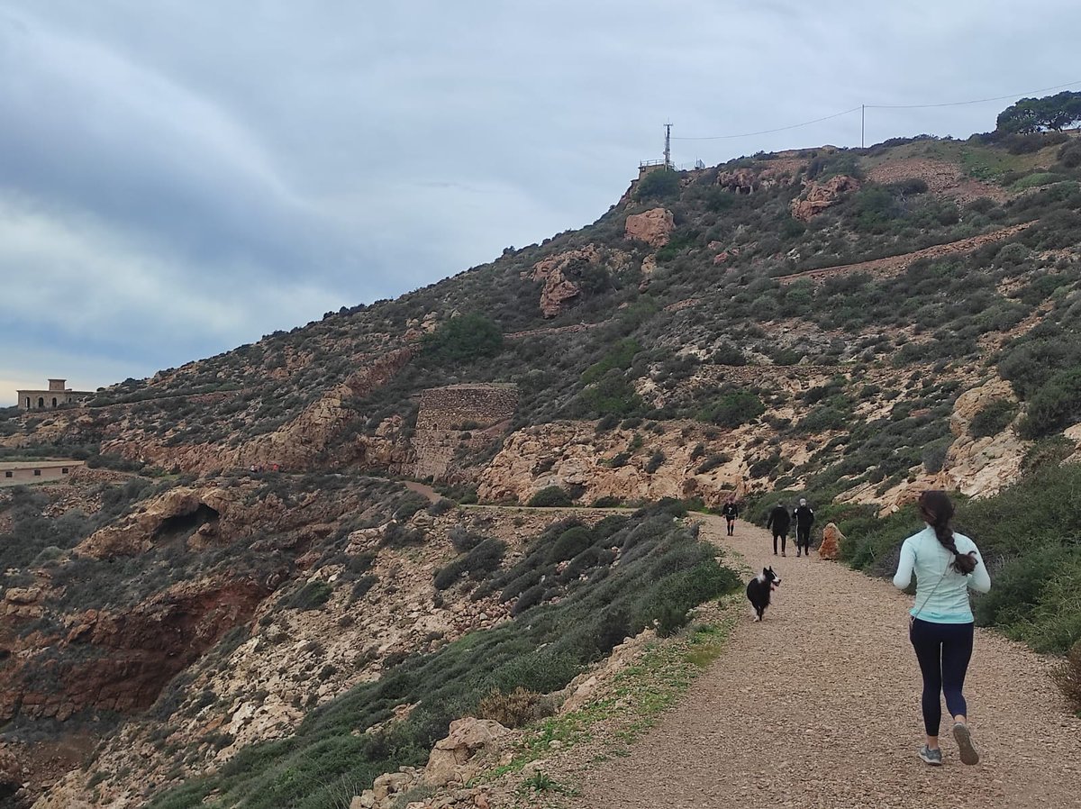 RutaFortalezas_'s tweet photo. Se ha desatado la locura. Ruteros/as en los montes. Hoy parcial Fajardo-Galeras-Atalaya💪🏻. Y tú?? Sigues en la cama?? Comparte tus entrenos #RDLF25 https://t.co/gYCUD0WMKi