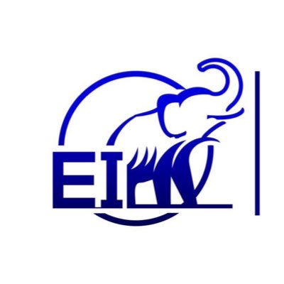 FingertipsProAI's tweet image. #NewProfilePic