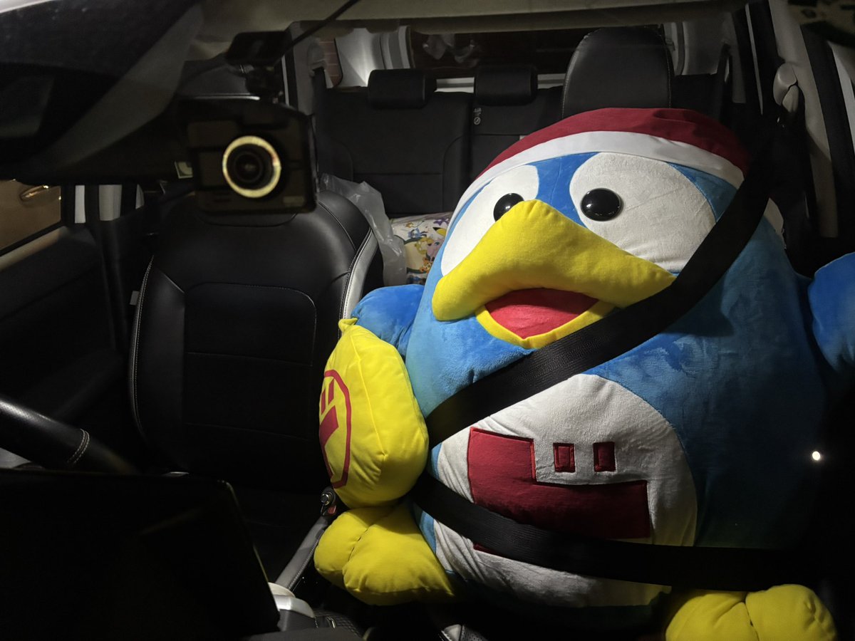 Shokokudou's tweet image. 友達のドンペンを助手席に乗っけるなんて
思いもしなった😂

 #ドンペン  #ドン・キホーテ  #RAIZE