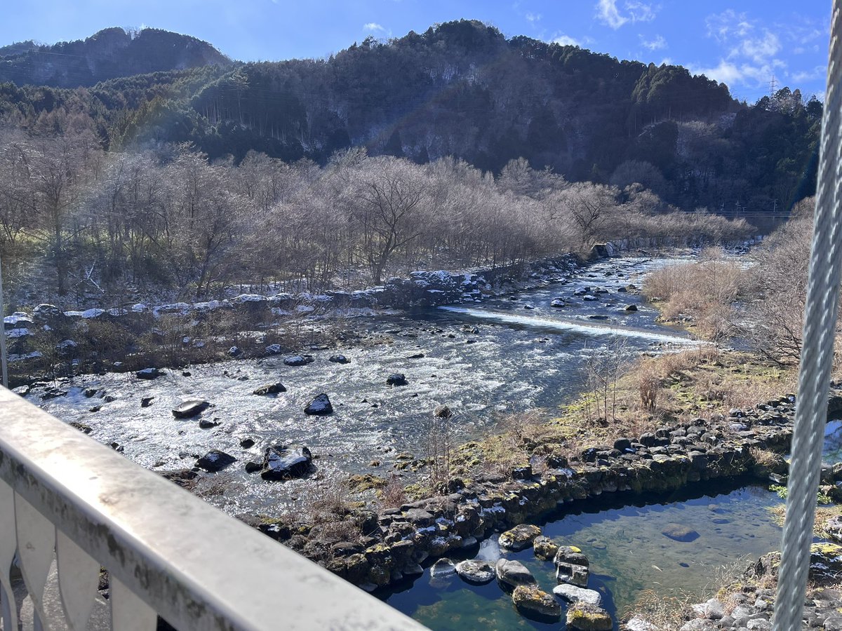 雪なんて20年振りよ