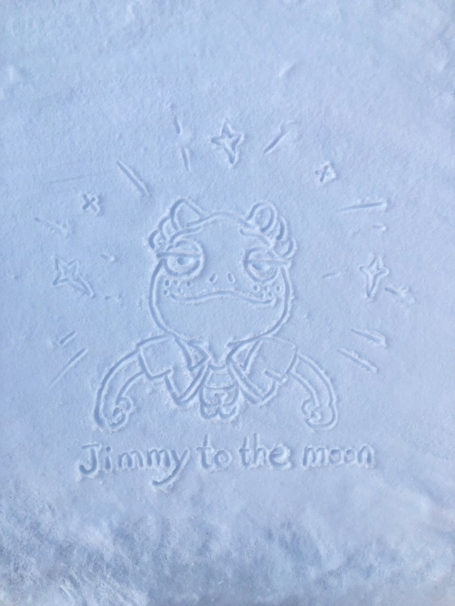 DemiAvabagwell's tweet photo. The first big snowfall of 2025 , I drew a New Year's wish for Jimmy in the snow, I hope we work together to build and get Jimmy to the moon!!!!
@MelancholyJimmy @ChameleonTravel @Donnie_eth 
#Jimmynft https://t.co/fN14gqkVbO