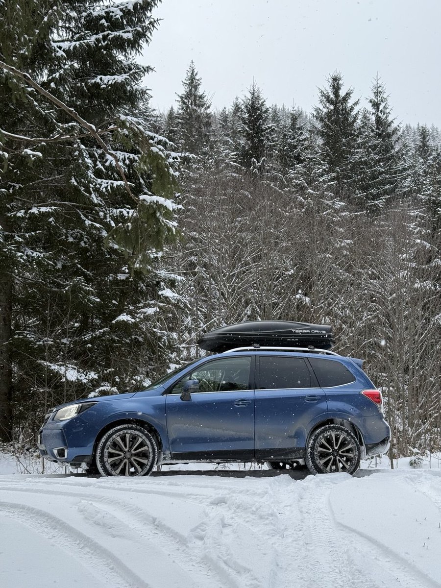 Самий умний tweet media