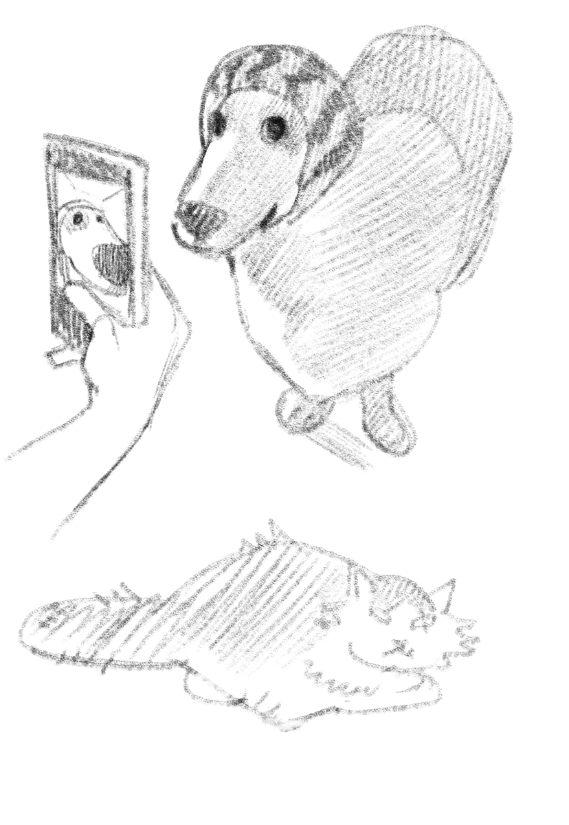 광속응가 (@lightspeedshit) on Twitter photo 