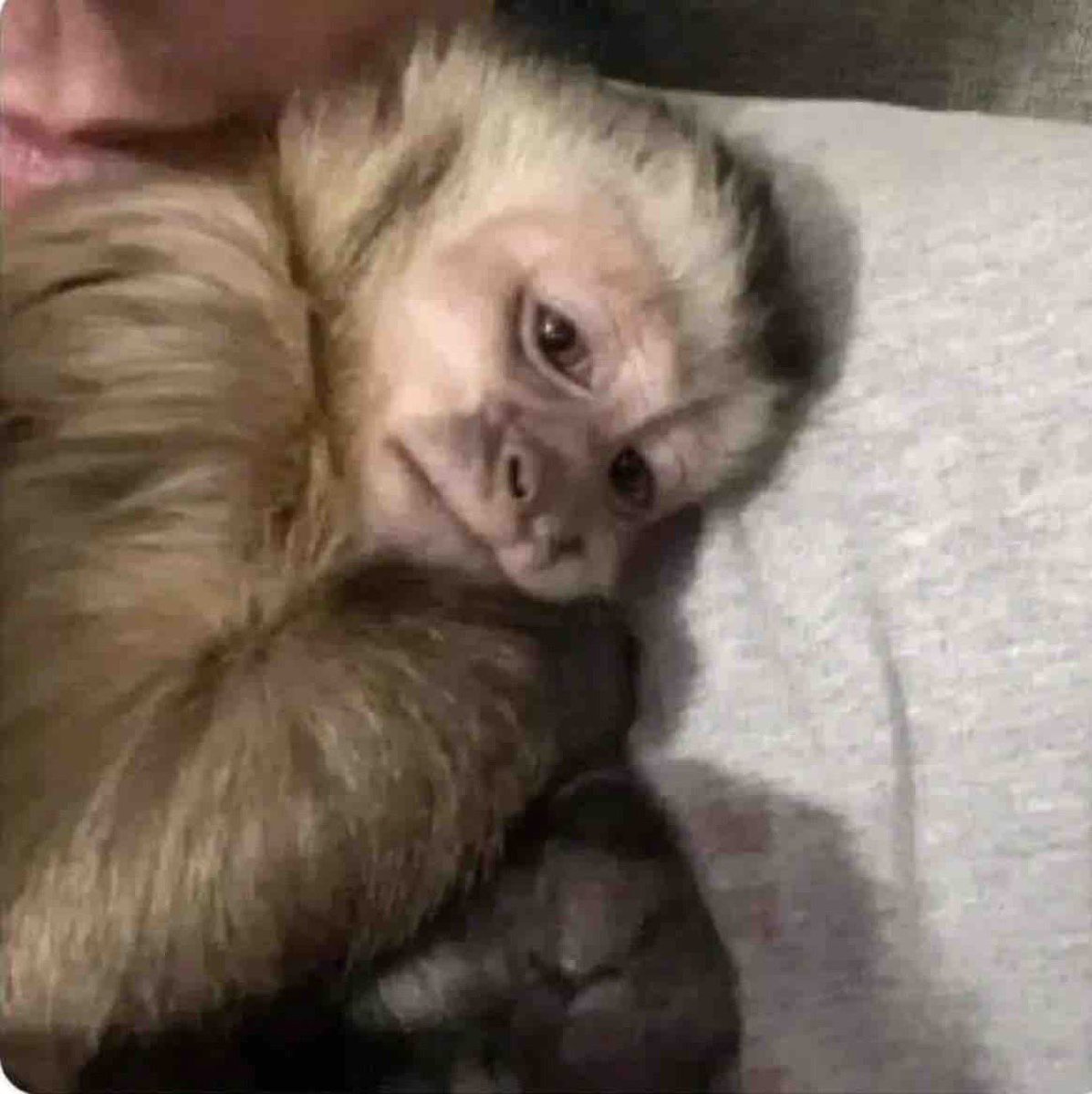 “En enero comenzaré con toda la actitud positiva”

Yo, en enero sin energías: