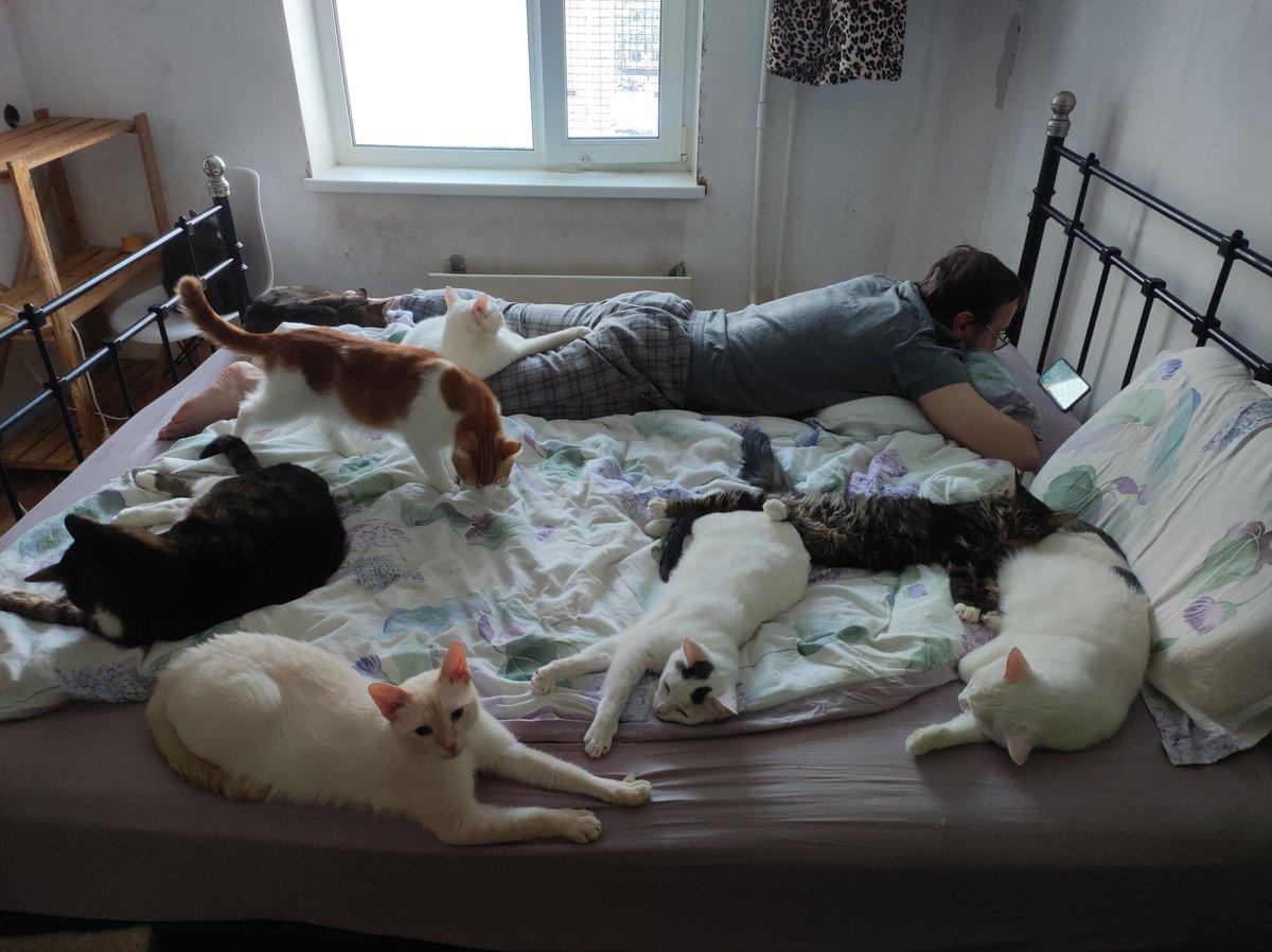 PO5SbTWhuxoGeWr's tweet photo. ребят, вопрос. а кто где покупает/заказывает постельное белье? особенно интересново простыни на резинке на матрас 25см. ну и разумное соотношение цены и качества, чтобы не одноразовое до первой стирки, но и не за мильён деняк. https://t.co/vIbo6RuIzx