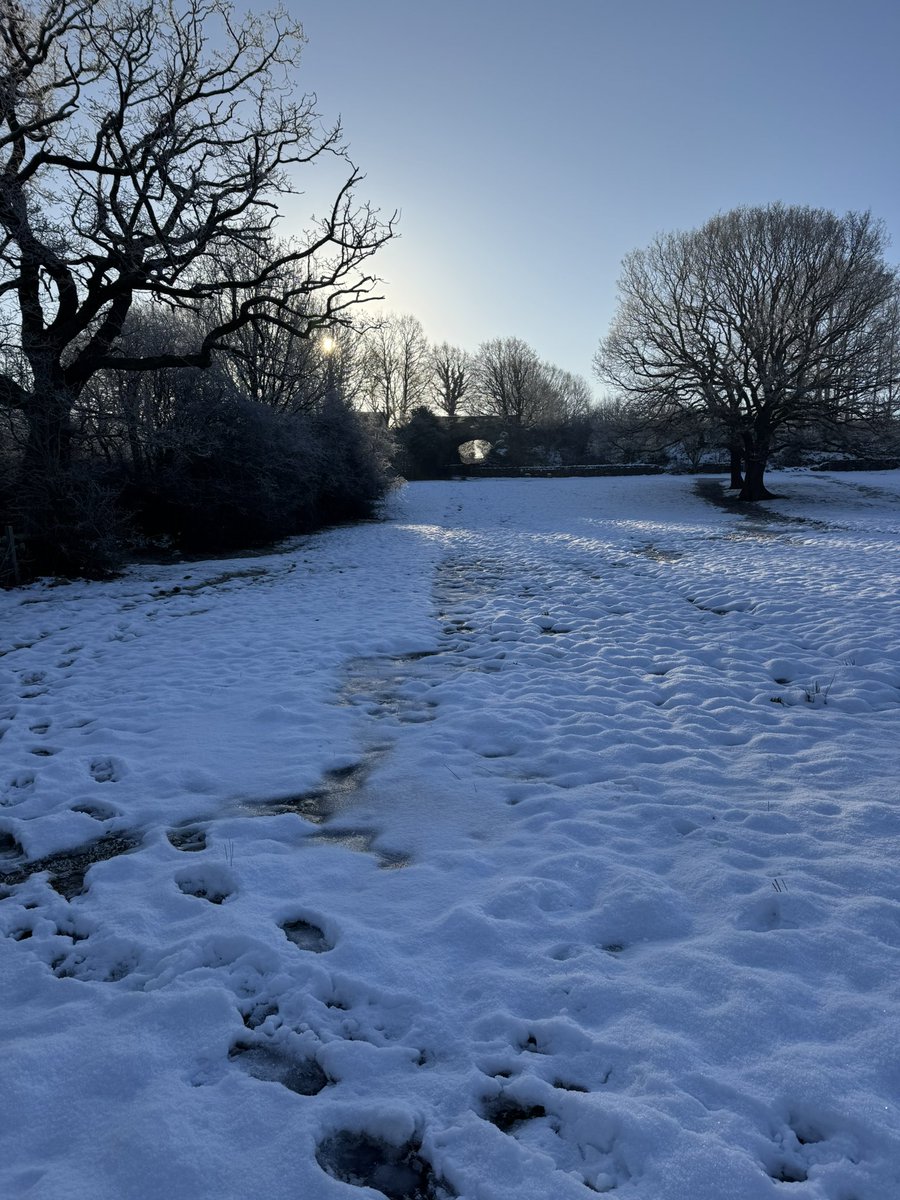 Trebor_68's tweet photo. This morning’s rather chilly but all the same stunning dog walk https://t.co/HoH0wHaj1Q