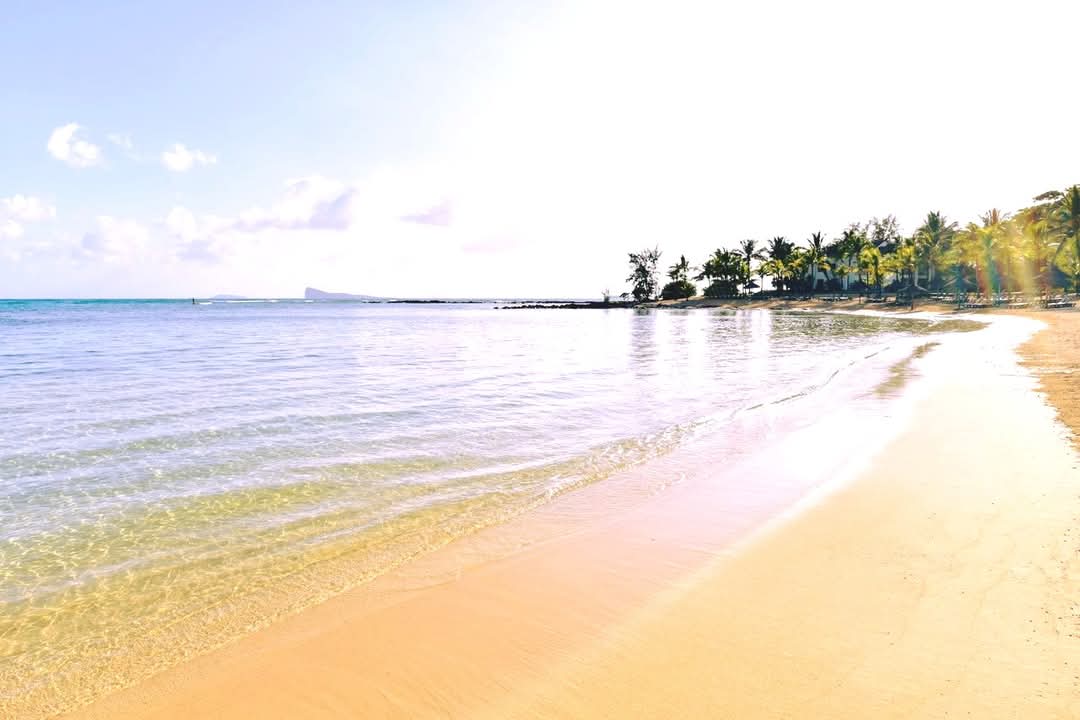 beachtag's tweet photo. Don't spend too much time
looking in the rearview
mirror. 2024 is behind
you. What's done is done, so
take what you've learned
from the experience and just
move on...New Chapters in this beautiful new year!

📍Canonnier Beachcomber Golf Resort &amp; Spa https://t.co/iGsDlBPRtA
