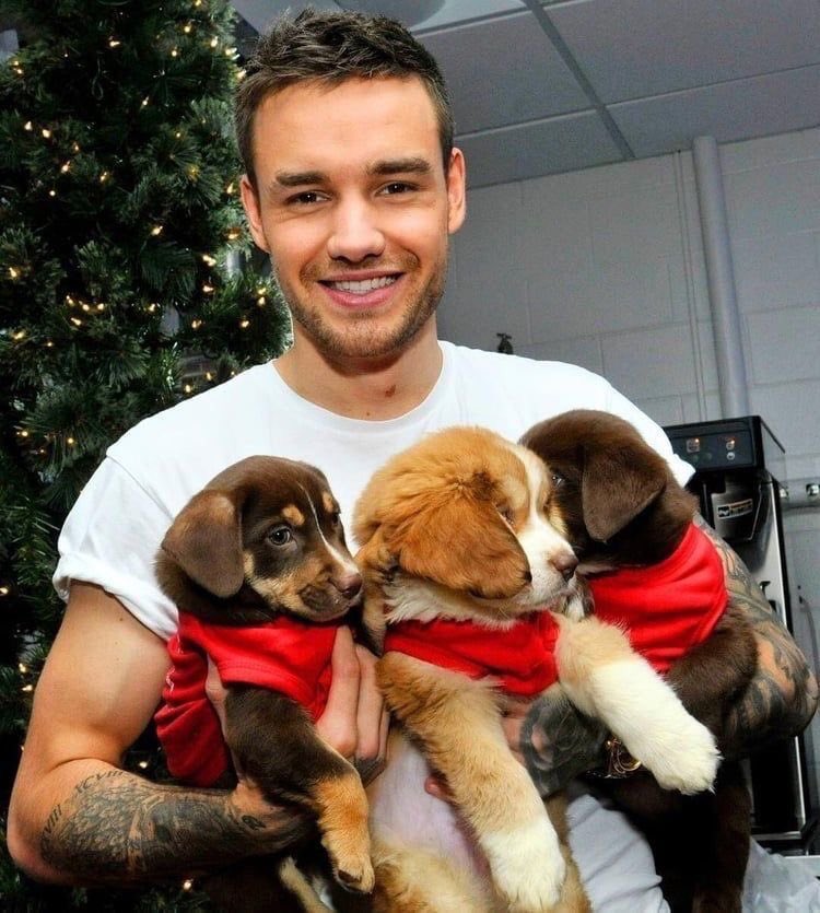 rpfyall's tweet photo. In 2022, when asked about the legacy he would like to leave and how he would want to be remembered, he said: 'Honestly, just being a nice guy.'
Liam, you will definitely be remembered as the kindest person that has ever walked on this planet.❤️🫀 
#BraveHeartLiam #LiamWeLoveYou https://t.co/9Q8vcrNLqM