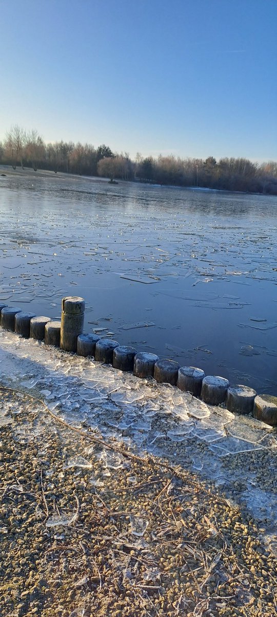 runningmillerz's tweet image. This mornings #manvers walk