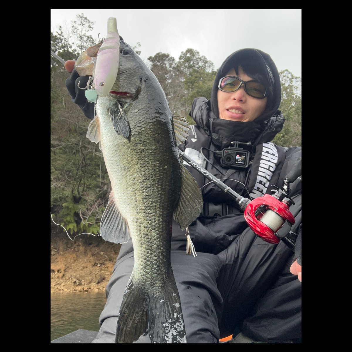 mira0320bass's tweet photo. 今日の津風呂湖。
細長ーい系のバス達でしたが、釣りの内容がいい感じ👌
ロイヤルフラッシュjrのデッドウォークがいい仕事してくれました👍
やっぱり冬のシャローゲームがやめられません😬
#MIRAGuideService
#ミラガイドサービス
#エバーグリーン
#ロイヤルフラッシュjr https://t.co/ZW6TlIFYUO