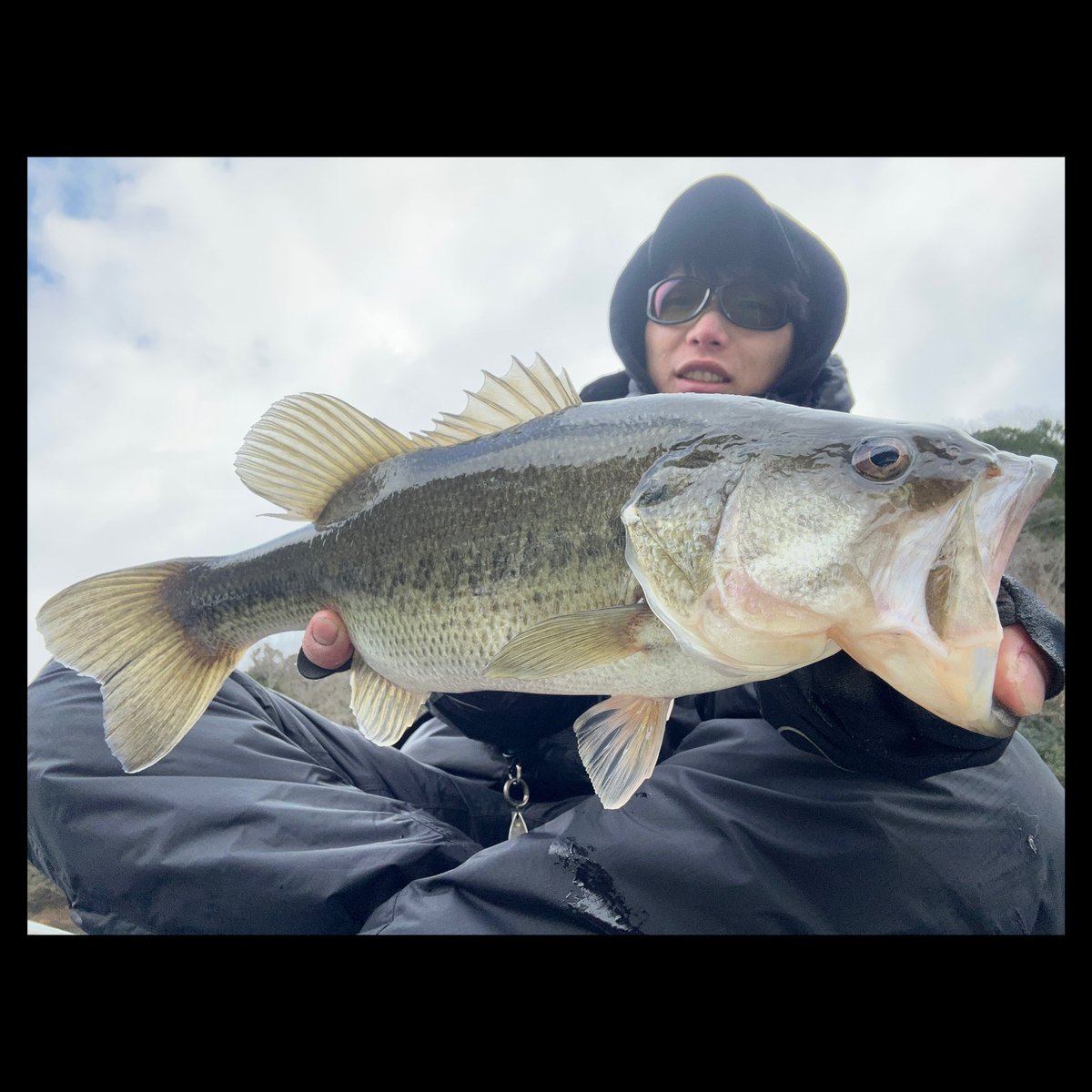 mira0320bass's tweet photo. 今日の津風呂湖。
細長ーい系のバス達でしたが、釣りの内容がいい感じ👌
ロイヤルフラッシュjrのデッドウォークがいい仕事してくれました👍
やっぱり冬のシャローゲームがやめられません😬
#MIRAGuideService
#ミラガイドサービス
#エバーグリーン
#ロイヤルフラッシュjr https://t.co/ZW6TlIFYUO