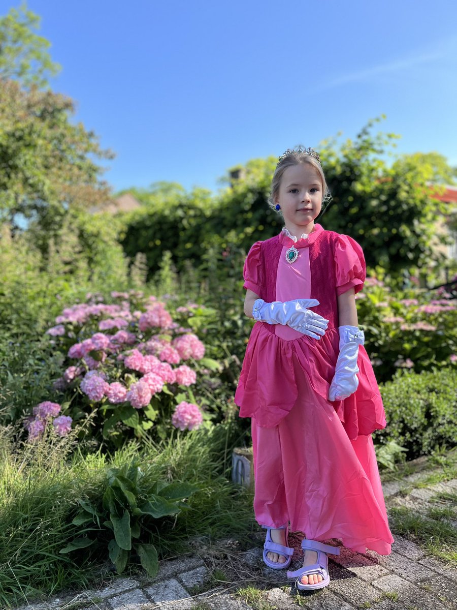 Judith Honig (judithhonig op Bluesky) tweet media