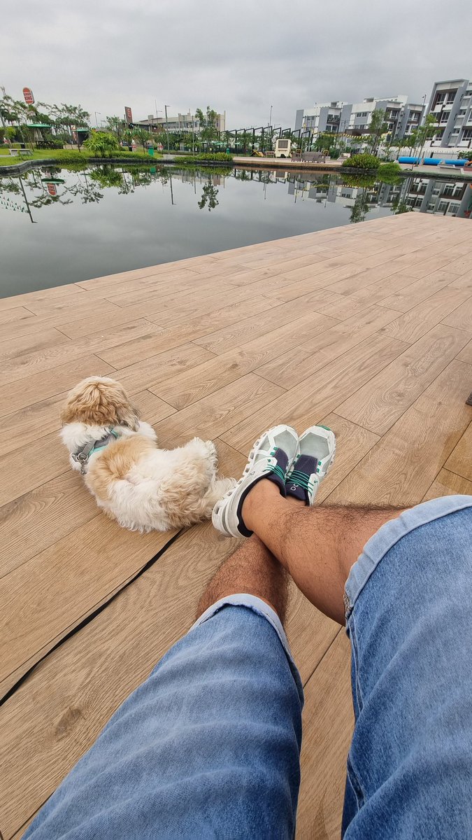 Mañanas de relax y meditación.