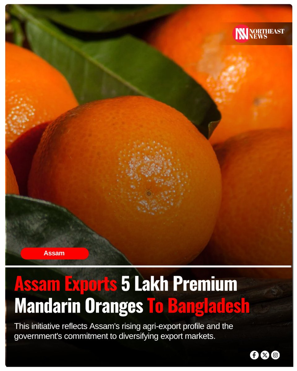 newsne24x7's tweet image. Assam achieves a milestone by exporting 5 lakh premium mandarin oranges to Bangladesh via river route, highlighting its growing presence in international markets.

Read More: nenews.in/assam/assam-ex…

#AssamAgriculture #MandarinOranges
