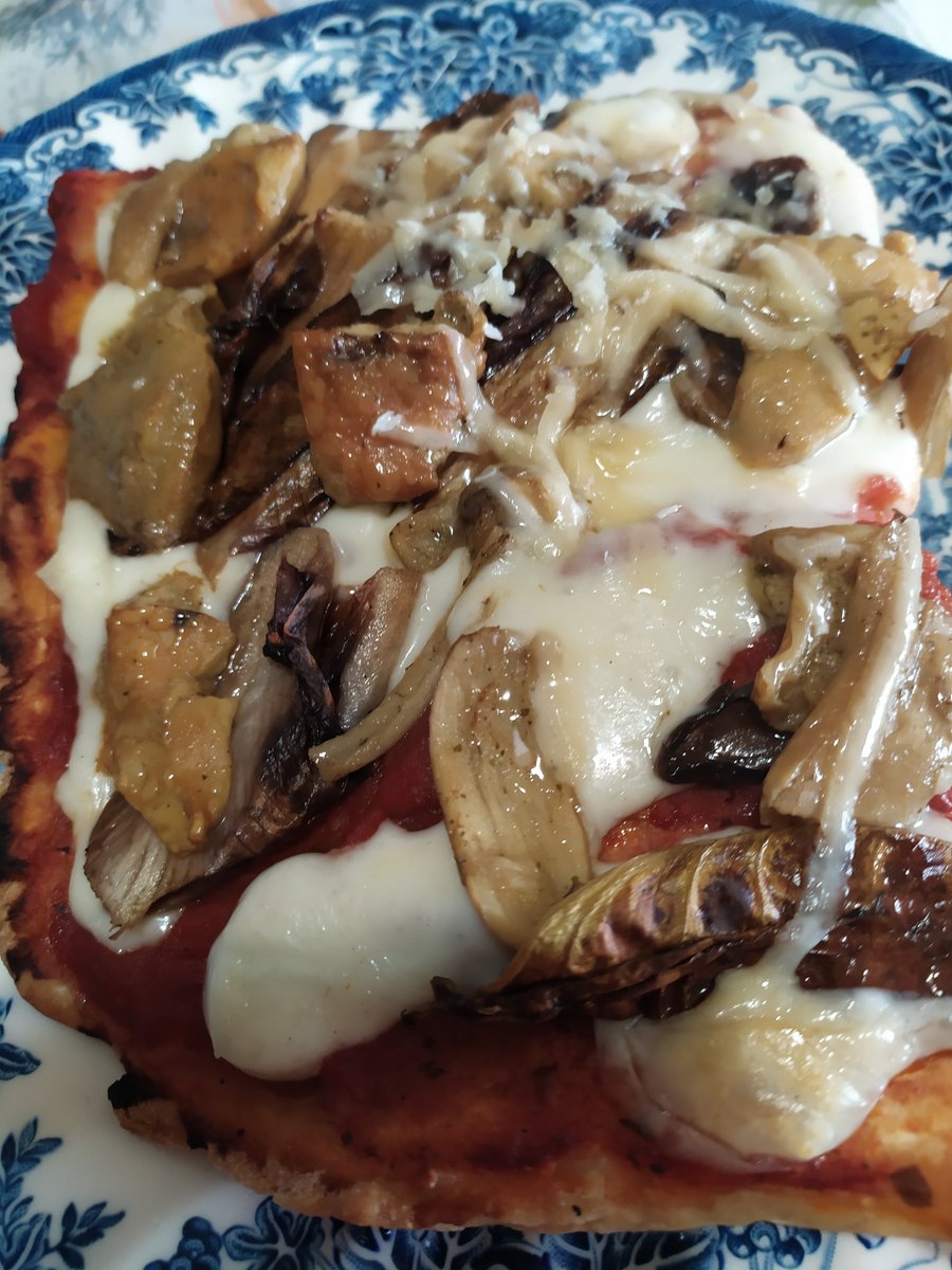 malvaverbasco3's tweet photo. Pizza casalinga: mozzarella, radicchio spadone, funghi e scaglie di grana 😋😋😋😋😋😋 https://t.co/9pVIKzKE5R