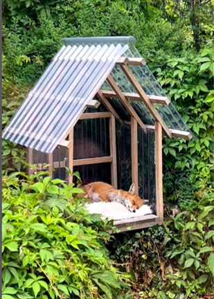 thomasFreader's tweet image. Personally I think you didn't make enough effort.