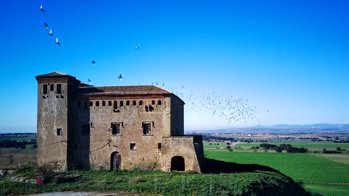 ramon sunyer tweet media