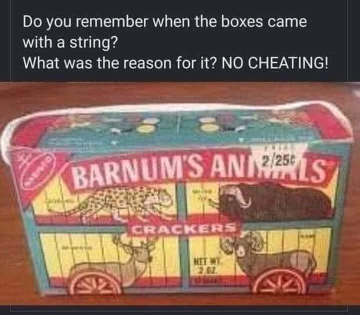 Jerseygirl #FBR 🟧 tweet media