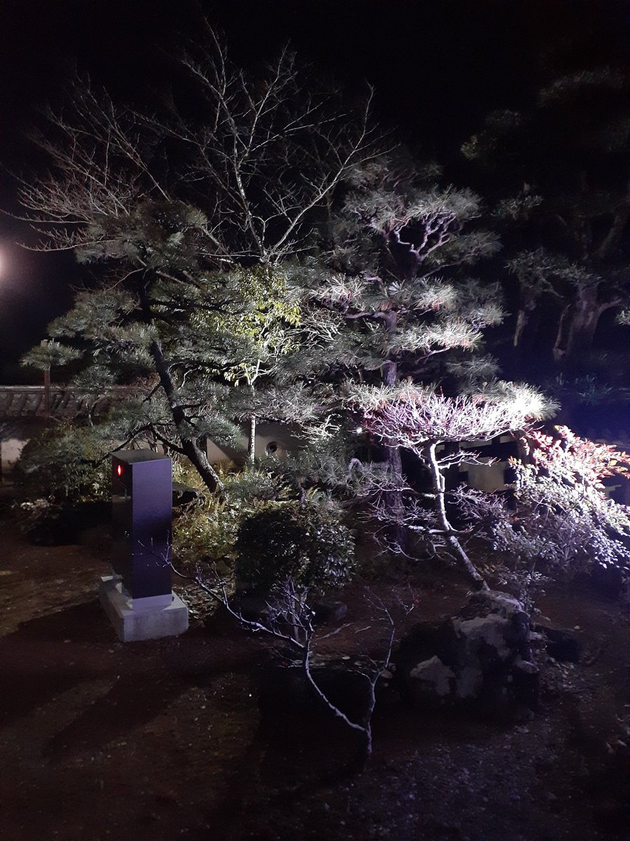 narita_skykrest's tweet photo. 光で照らすライトアップと違って、影を楽しむからシャドウアップなんだって…φ(．．)ﾒﾓﾒﾓ
影をウニウニ動かしたり、影がグワーっと迫ってきたり、影で色々遊べて面白かった😊
天守から見渡す夜の高知城も最高👍
#シャドウアップ高知城 https://t.co/1tmQhK889G