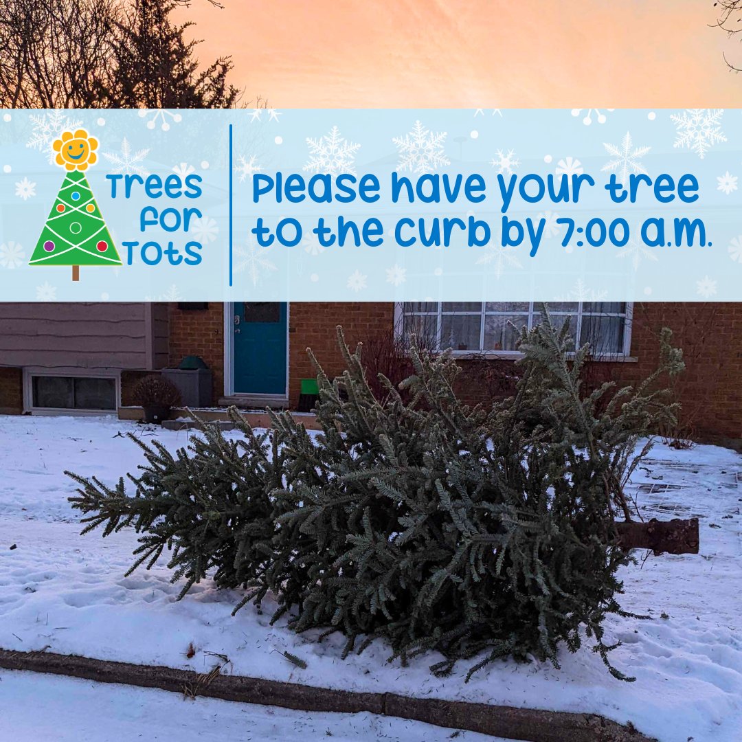 Today is the day - it's Trees for Tots! 🎄

If you have registered for our Saturday pick-up, please have your tree to the curb for 7:00 a.m.

Follow the fun today with hashtag #CFGWTreesForTots ✨

#CFGW #TreesForTots #CommunityService #Guelph #Puslinch #Rockwood