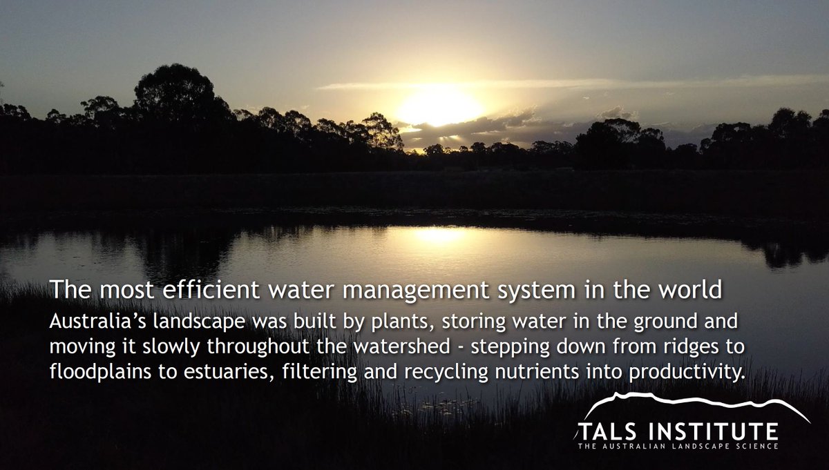 TALSInstitute tweet picture