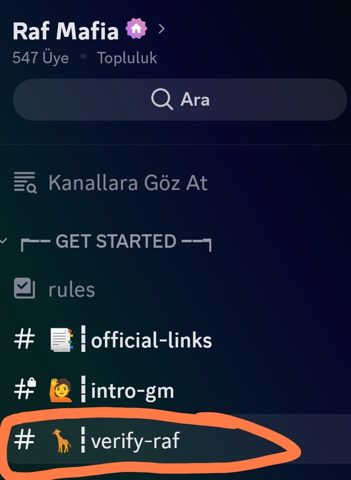 CollabW3's tweet photo. Günaydınlar Raf Ailem 🌞
📢 @raf_mafia Discord açıldı.
📌Aşağıdaki ki link ile sunucuya erişip görselde ki gibi verify-raf kanalına erişerek. Guild botundan Raf Holder rolünüzü talep edebilirsiniz.
🔗https://t.co/5tpukoK5NW
#Cyber #RafRaf $Cyber https://t.co/gi4dUoG513