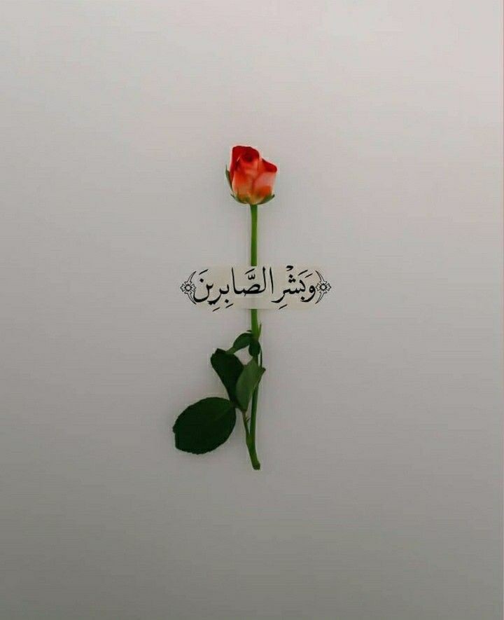 وَبَشِّرِ الصَّابِرِينَ🤎..