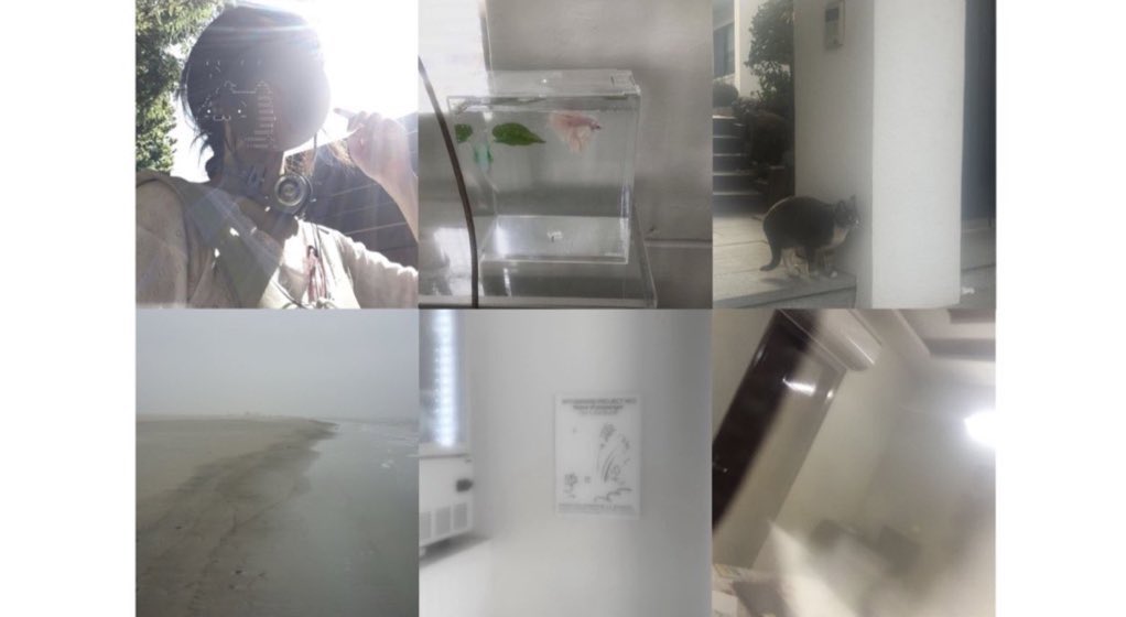 ⠀
　　　　　　　　　
　　　　　　　　　　       𝟫𝟨_𝗐𝗈𝗈🫧

　　　　　　 　　  #𝖼𝖺𝗋𝖺𝗍さんと繋がりたい
                          #𝗌𝖾𝗏𝖾𝗇𝗍𝖾𝖾𝗇好きな人と繋がりたい

⠀