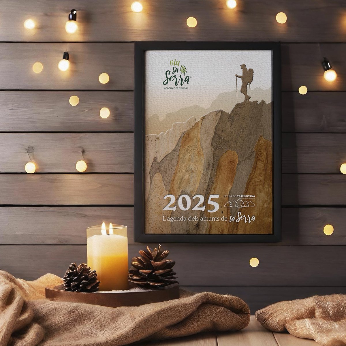 viu sa Serra ® tweet media