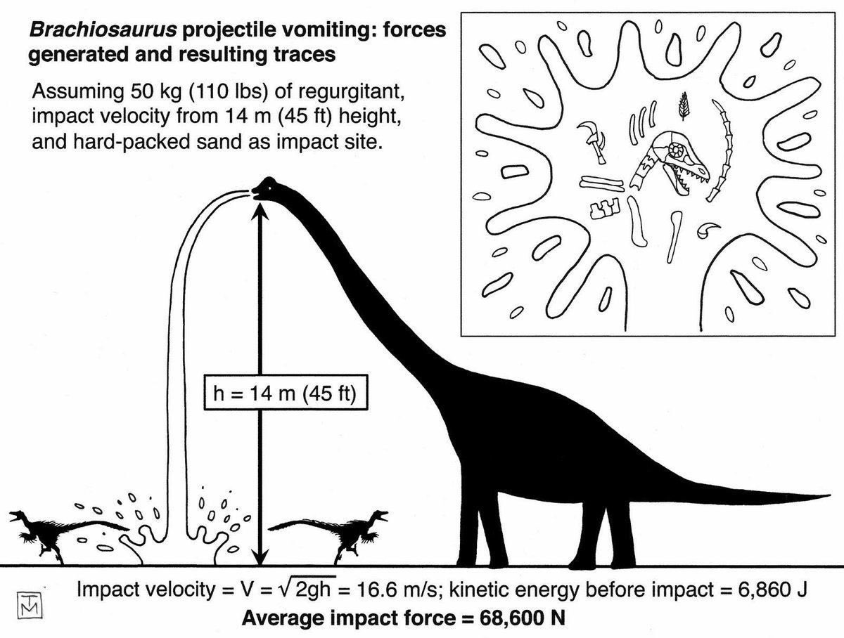 Medrako1's tweet photo. Brachiosaurus altithorax ataca!!
#Brachiosaurus #Brachiosaurusaltithorax #vomit #oc #kemono_friends #kemonofriends #cellien #cerulean #Brachiosaurusvomit https://t.co/Lm2zJsu9s9