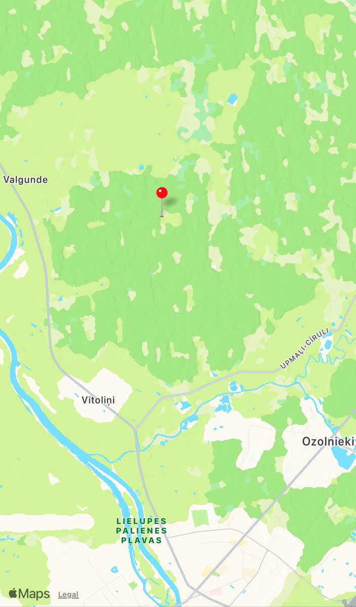 Znotina's tweet photo. Šāds skaistulis - izskatās nomaldījies, pazudis, bez saimnieka, klīst pa mežu Cenas pagastā, starp Valgundi &amp; Ozolniekiem. Baidās, nevarēja pietuvoties. Ir siksniņa. Varbūt RT kādam palīdz 🙏
@Zoopolicija https://t.co/1S9z3uSrhz