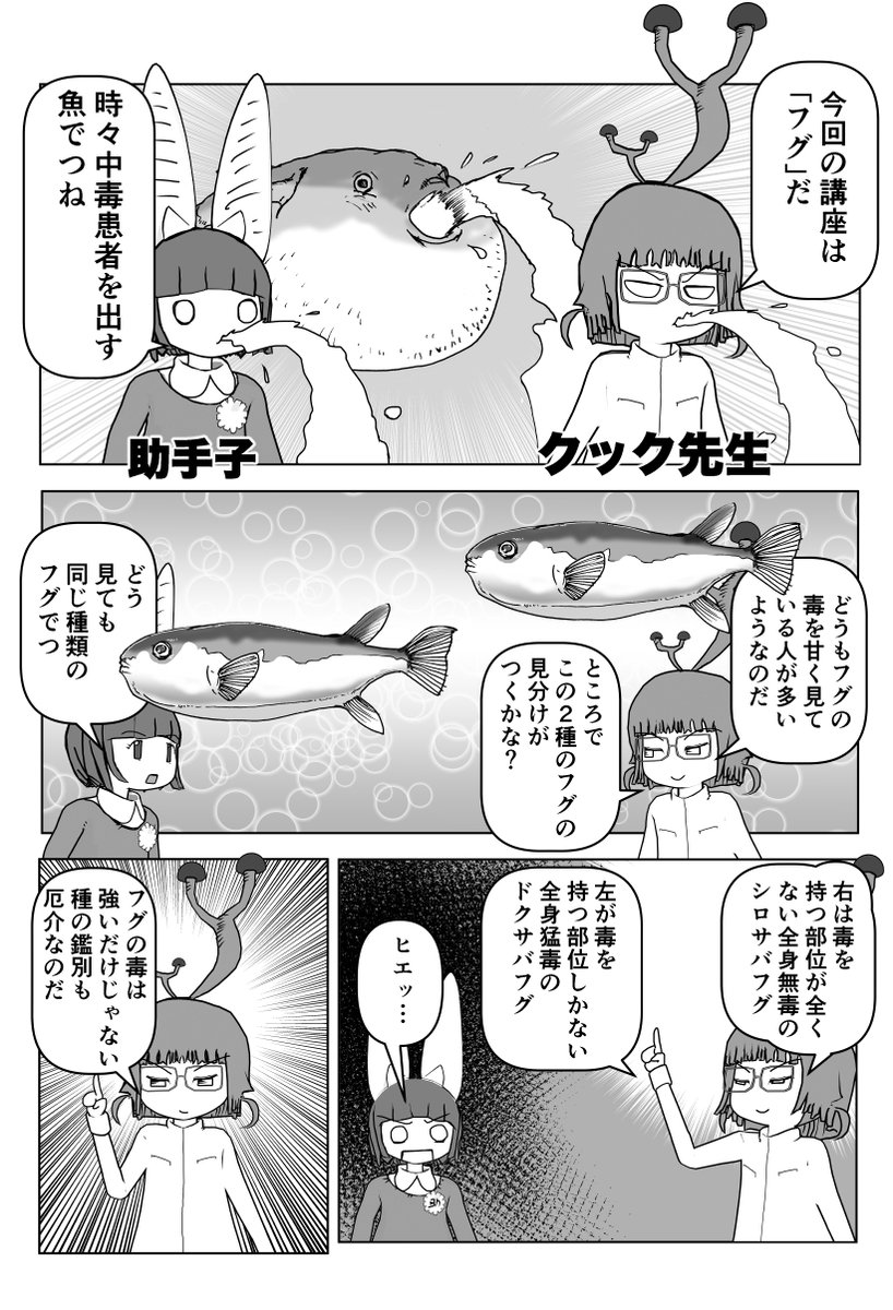 色々と誤解されてそうな動物を漫画で解説していくぞい。 第22回「フグ」1/2 #クック先生の動物講座 #漫画が読めるハッシュタグ #マンガが読めるハッシュタグ #フグ