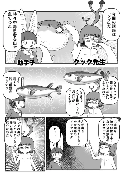 色々と誤解されてそうな動物を漫画で解説していくぞい。 第22回「フグ」1/2 #クック先生の動物講座 #漫画が読めるハッシュタグ #マンガが読めるハッシュタグ #フグ 